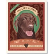 Dog Chocolate Labrador - Chocolate Charmer